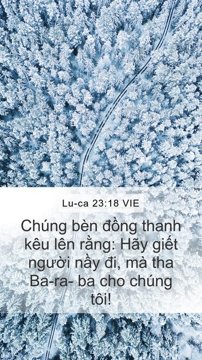 Lu-ca 23:18 VIE Bible Verse Image