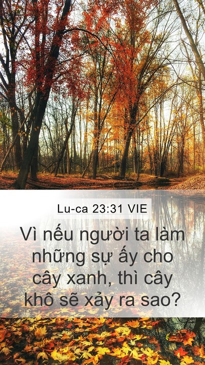 Lu-ca 23:31 VIE Bible Verse Image