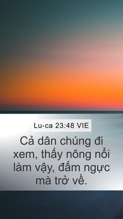 Lu-ca 23:48 VIE Bible Verse Image
