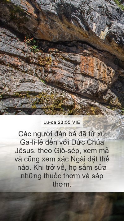 Lu-ca 23:55 VIE Bible Verse Image