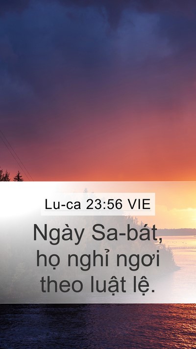 Lu-ca 23:56 VIE Bible Verse Image
