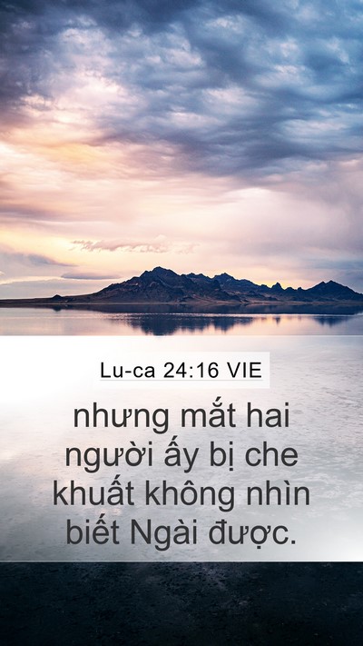 Lu-ca 24:16 VIE Mobile Phone Wallpaper - nhưng mắt hai người ấy bị che khuất - Mobile Bible Verse Wallpaper