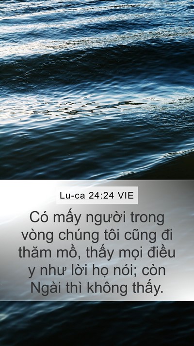 Lu-ca 24:24 VIE Mobile Phone Wallpaper - Có mấy người trong vòng chúng tôi cũng - Mobile Bible Verse Wallpaper