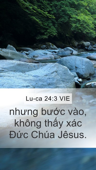 Lu-ca 24:3 VIE Bible Verse Image