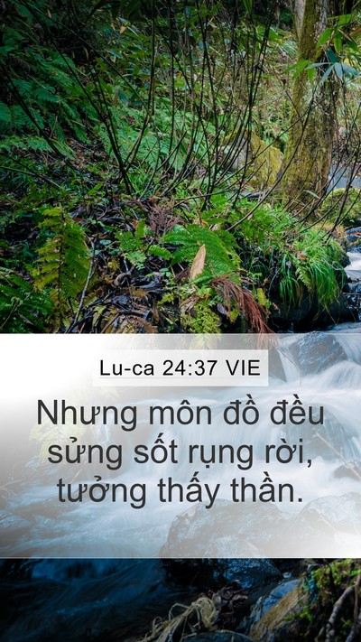 Lu-ca 24:37 VIE Bible Verse Image