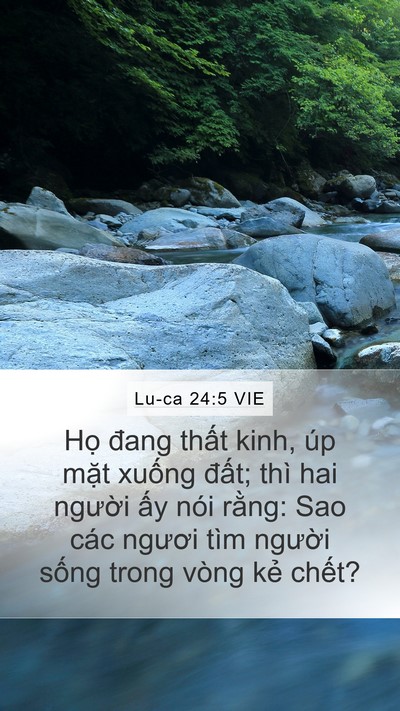 Lu-ca 24:5 VIE Bible Verse Image