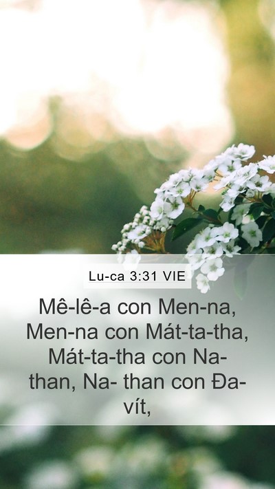 Lu-ca 3:31 VIE Mobile Phone Wallpaper - Mê-lê-a con Men-na, Men-na con Mát-ta-tha, - Mobile Bible Verse Wallpaper