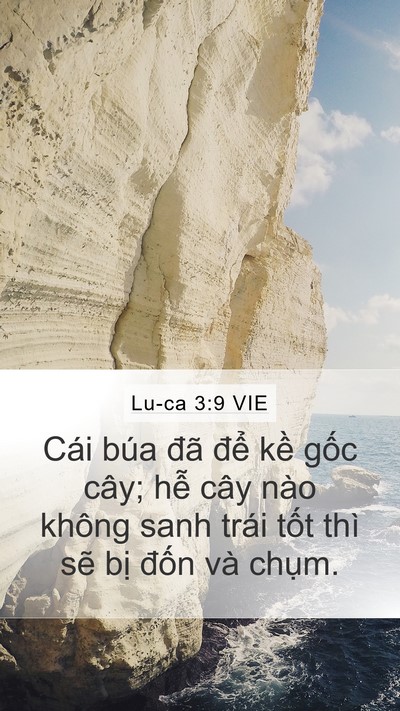 Lu-ca 3:9 VIE Bible Verse Image