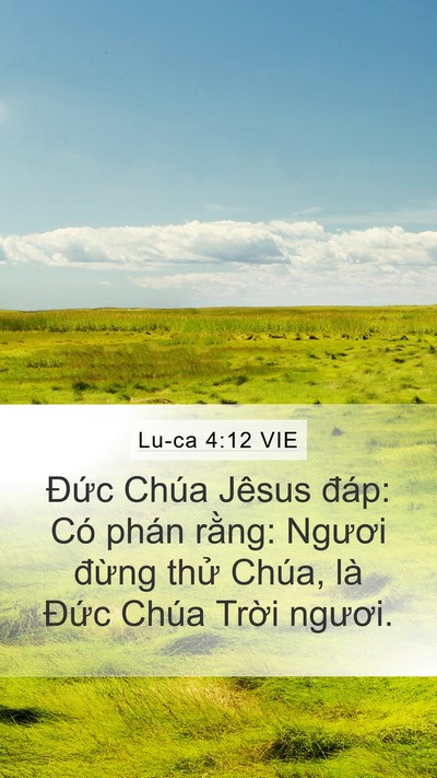 Lu-ca 4:12 VIE Mobile Phone Wallpaper - Đức Chúa Jêsus đáp: Có phán rằng: - Mobile Bible Verse Wallpaper