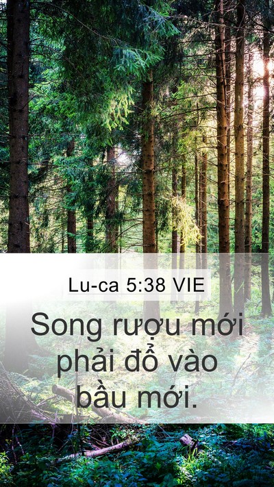 Lu-ca 5:38 VIE Mobile Phone Wallpaper - Song rượu mới phải đổ vào bầu - Mobile Bible Verse Wallpaper