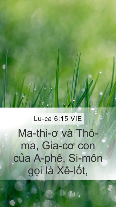Lu-ca 6:15 VIE Bible Verse Image