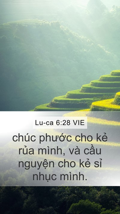Lu-ca 6:28 VIE Mobile Phone Wallpaper - chúc phước cho kẻ rủa mình, và cầu - Mobile Bible Verse Wallpaper