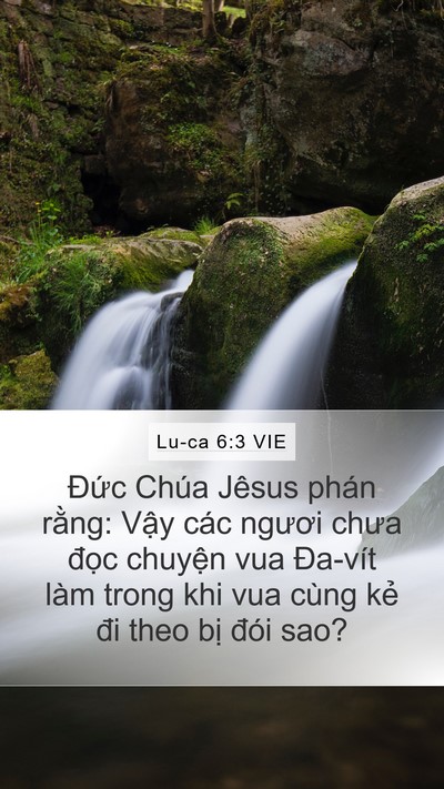 Lu-ca 6:3 VIE Mobile Phone Wallpaper - Đức Chúa Jêsus phán rằng: Vậy các - Mobile Bible Verse Wallpaper