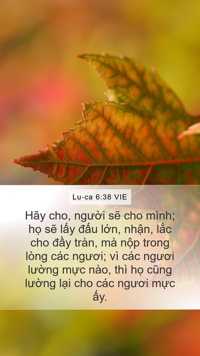 Lu-ca 6:38 VIE Bible Verse Image