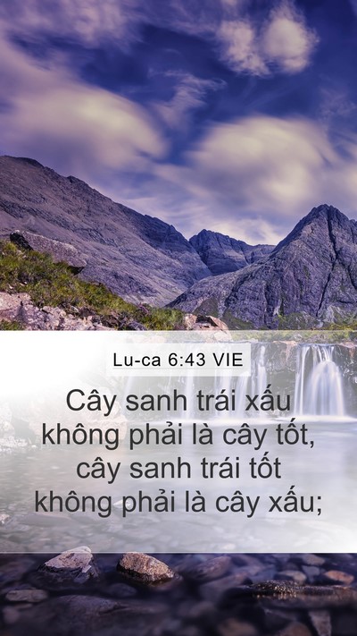 Lu-ca 6:43 VIE Bible Verse Image