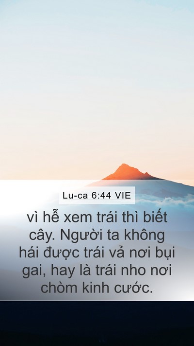 Lu-ca 6:44 VIE Bible Verse Image
