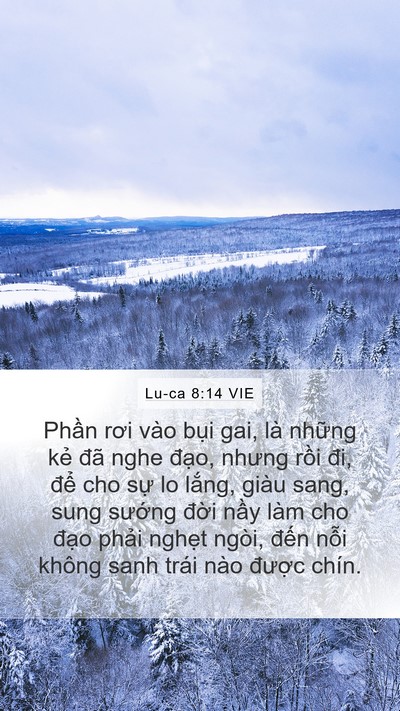 Lu-ca 8:14 VIE Bible Verse Image