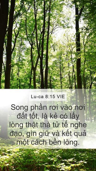 Lu-ca 8:15 VIE Bible Verse Image