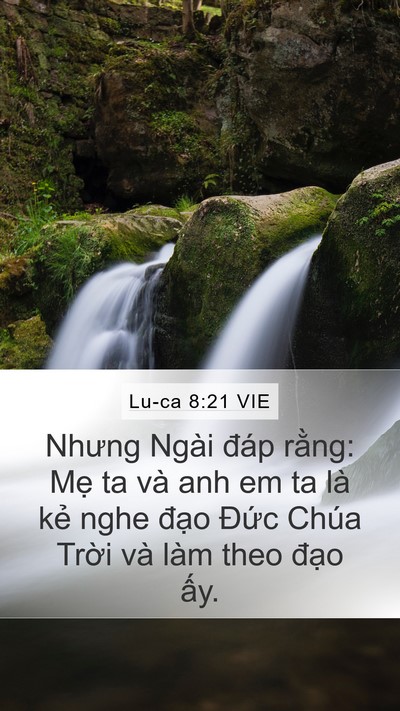 Lu-ca 8:21 VIE Mobile Phone Wallpaper - Nhưng Ngài đáp rằng: Mẹ ta và anh em ta - Mobile Bible Verse Wallpaper