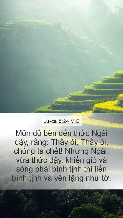 Lu-ca 8:24 VIE Bible Verse Image