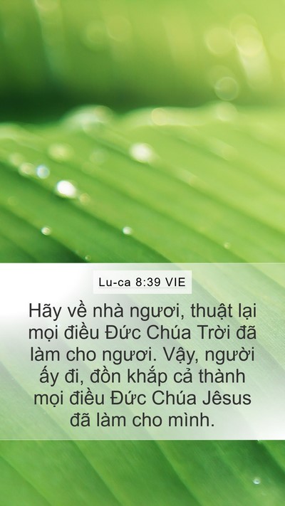 Lu-ca 8:39 VIE Bible Verse Image