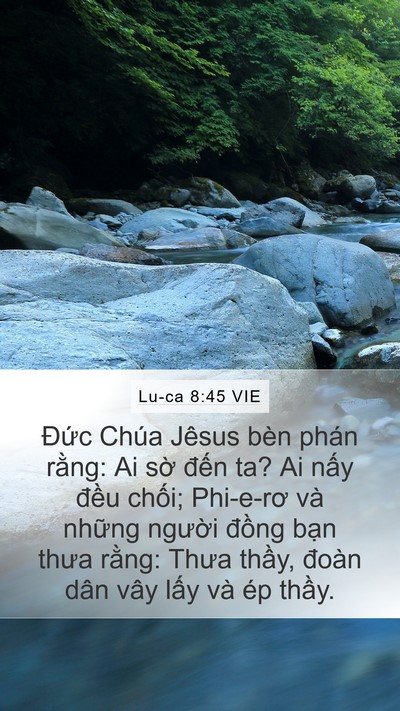 Lu-ca 8:45 VIE Bible Verse Image