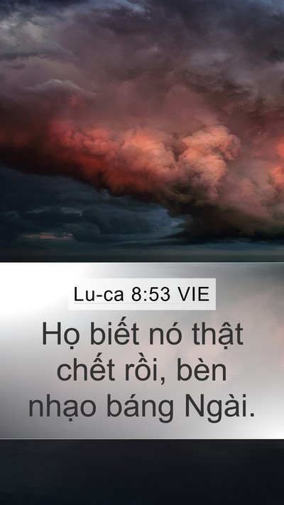 Lu-ca 8:53 VIE Bible Verse Image