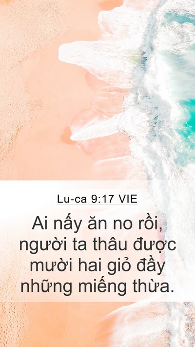 Lu-ca 9:17 VIE Bible Verse Image