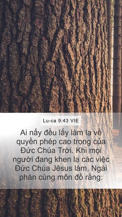 Lu-ca 9:43 VIE Bible Verse Image