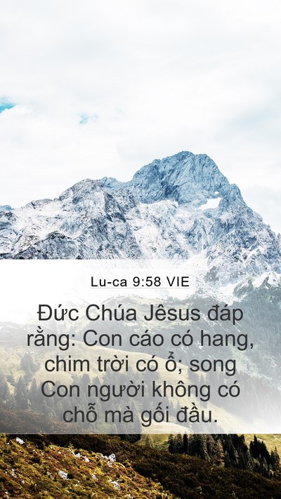 Lu-ca 9:58 VIE Bible Verse Image