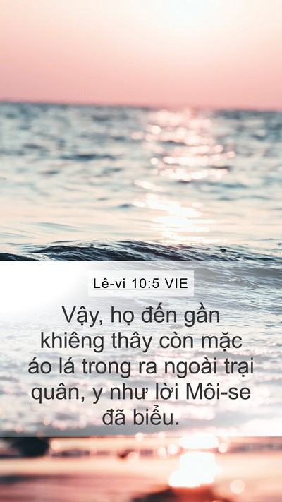 Lê-vi 10:5 VIE Mobile Phone Wallpaper - Vậy, họ đến gần khiêng thây còn mặc - Mobile Bible Verse Wallpaper