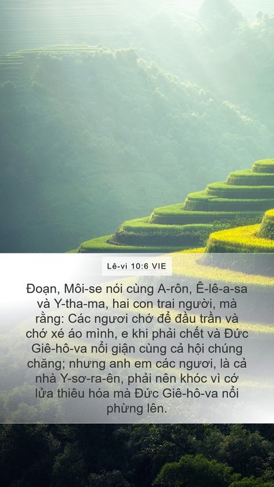 Lê-vi 10:6 VIE Bible Verse Image