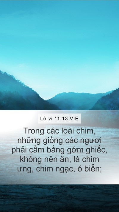 Lê-vi 11:13 VIE Mobile Phone Wallpaper - Trong các loài chim, những giống các - Mobile Bible Verse Wallpaper
