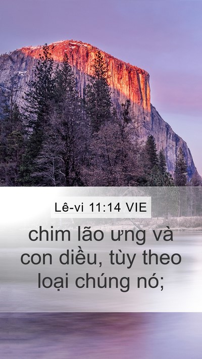 Lê-vi 11:14 VIE Mobile Phone Wallpaper - chim lão ưng và con diều, tùy theo loại - Mobile Bible Verse Wallpaper