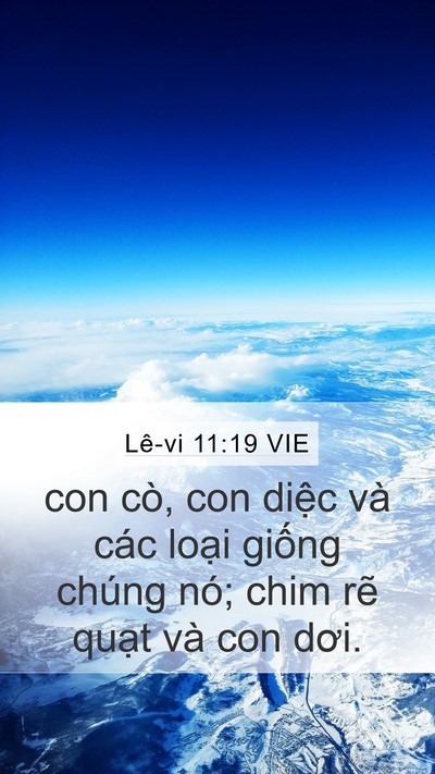 Lê-vi 11:19 VIE Bible Verse Image