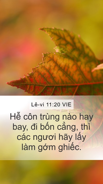 Lê-vi 11:20 VIE Bible Verse Image