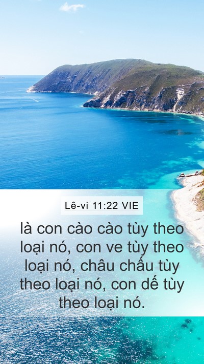 Lê-vi 11:22 VIE Bible Verse Image