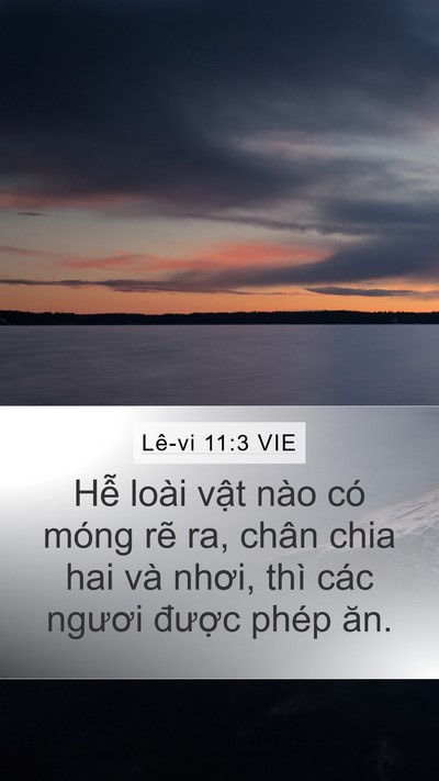 Lê-vi 11:3 VIE Mobile Phone Wallpaper - Hễ loài vật nào có móng rẽ ra, chân - Mobile Bible Verse Wallpaper