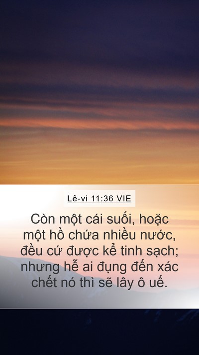 Lê-vi 11:36 VIE Mobile Phone Wallpaper - Còn một cái suối, hoặc một hồ chứa - Mobile Bible Verse Wallpaper