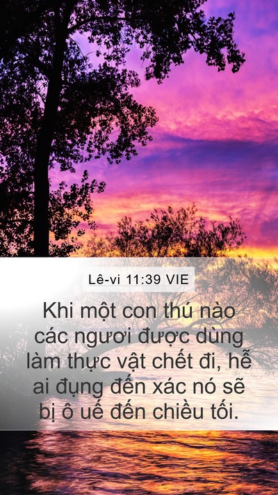 Lê-vi 11:39 VIE Bible Verse Image
