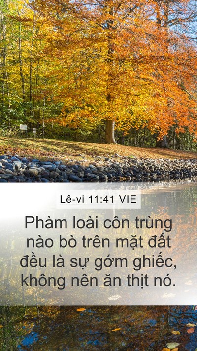 Lê-vi 11:41 VIE Mobile Phone Wallpaper - Phàm loài côn trùng nào bò trên mặt - Mobile Bible Verse Wallpaper