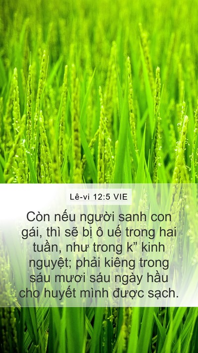 Lê-vi 12:5 VIE Mobile Phone Wallpaper - Còn nếu người sanh con gái, thì sẽ bị - Mobile Bible Verse Wallpaper