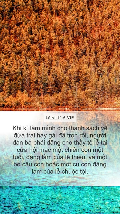Lê-vi 12:6 VIE Bible Verse Image