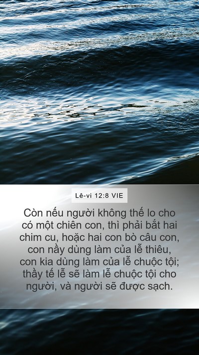 Lê-vi 12:8 VIE Bible Verse Image