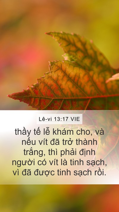 Lê-vi 13:17 VIE Mobile Phone Wallpaper - thầy tế lễ khám cho, và nếu vít đã - Mobile Bible Verse Wallpaper