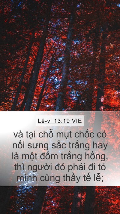 Lê-vi 13:19 VIE Mobile Phone Wallpaper - và tại chỗ mụt chốc có nổi sưng - Mobile Bible Verse Wallpaper