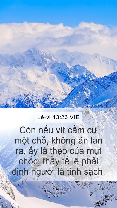 Lê-vi 13:23 VIE Bible Verse Image