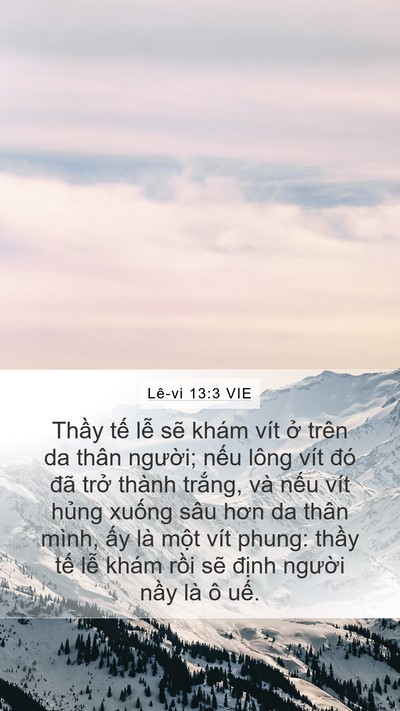 Lê-vi 13:3 VIE Bible Verse Image