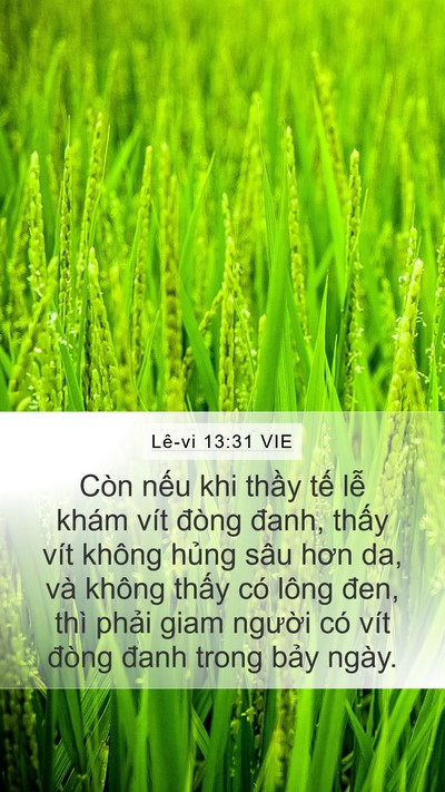 Lê-vi 13:31 VIE Mobile Phone Wallpaper - Còn nếu khi thầy tế lễ khám vít đòng - Mobile Bible Verse Wallpaper