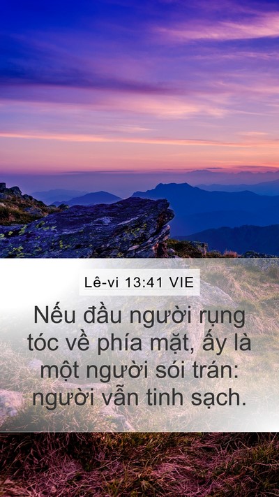 Lê-vi 13:41 VIE Mobile Phone Wallpaper - Nếu đầu người rụng tóc về phía - Mobile Bible Verse Wallpaper
